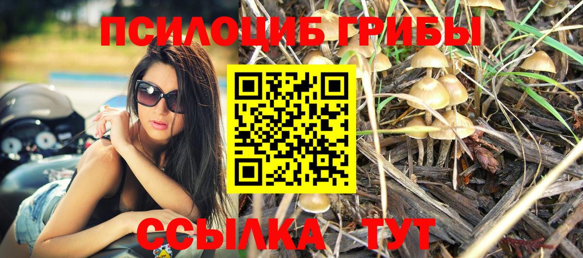 Псилоцибиновые грибы MAGIC MUSHROOMS  Вход с VPN  Псилоцибиновые грибы Magic Shrooms  Котельники 